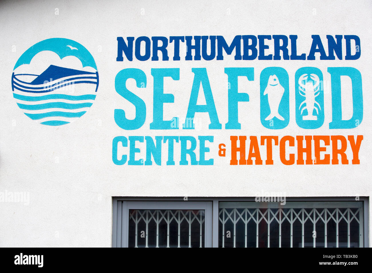 Amble northumberland fish hi-res stock photography and images - Alamy
