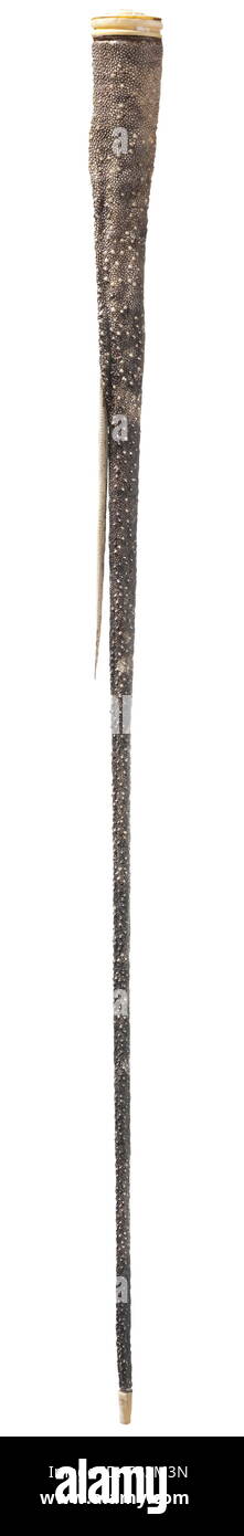 A German or English walking stick made from the tail of a stingray, circa 1850/60, The shaft made from the tail of a stingray with a lateral 30 cm long, intact stinger. Renewed metal core, bone tip, ivory pommel carved in relief with a coat of arms. Length 88 cm. handicrafts, handcraft, craft, object, objects, stills, clipping, clippings, cut out, cut-out, cut-outs, historic, historical 19th century, Additional-Rights-Clearance-Info-Not-Available Stock Photo