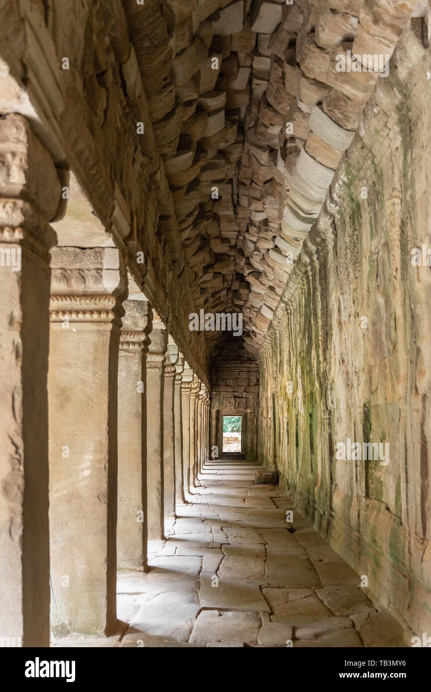 Ta Prohm Temple, Angkor, UNESCO World Heritage Site, Siem Reap Province, Cambodia, Indochina, Southeast Asia, Asia Stock Photo