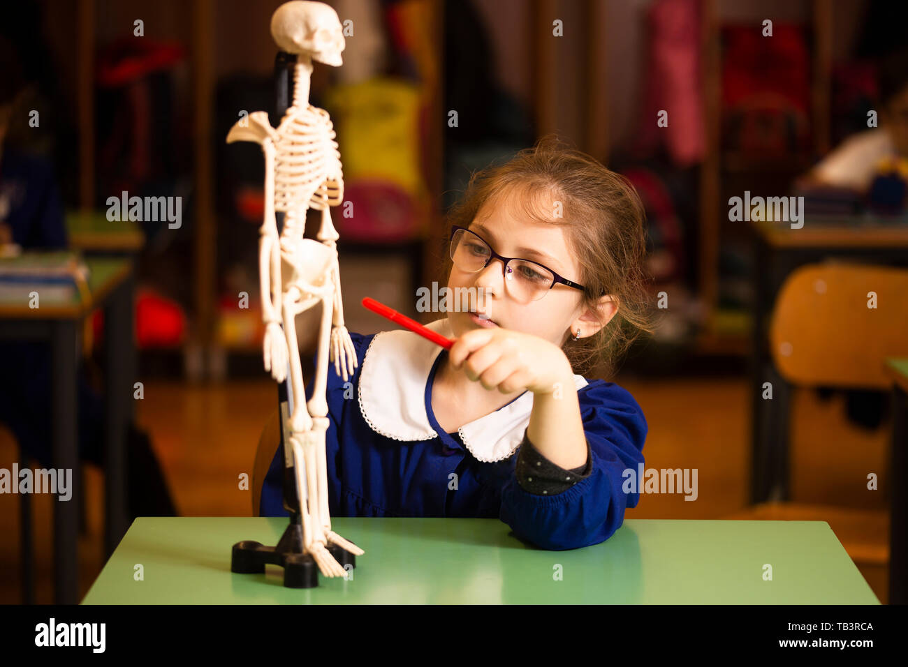Primary student in the classroom, elementary scool age caucasian girl during interrogation on lesson of biology. School and education concept. Selecte Stock Photo