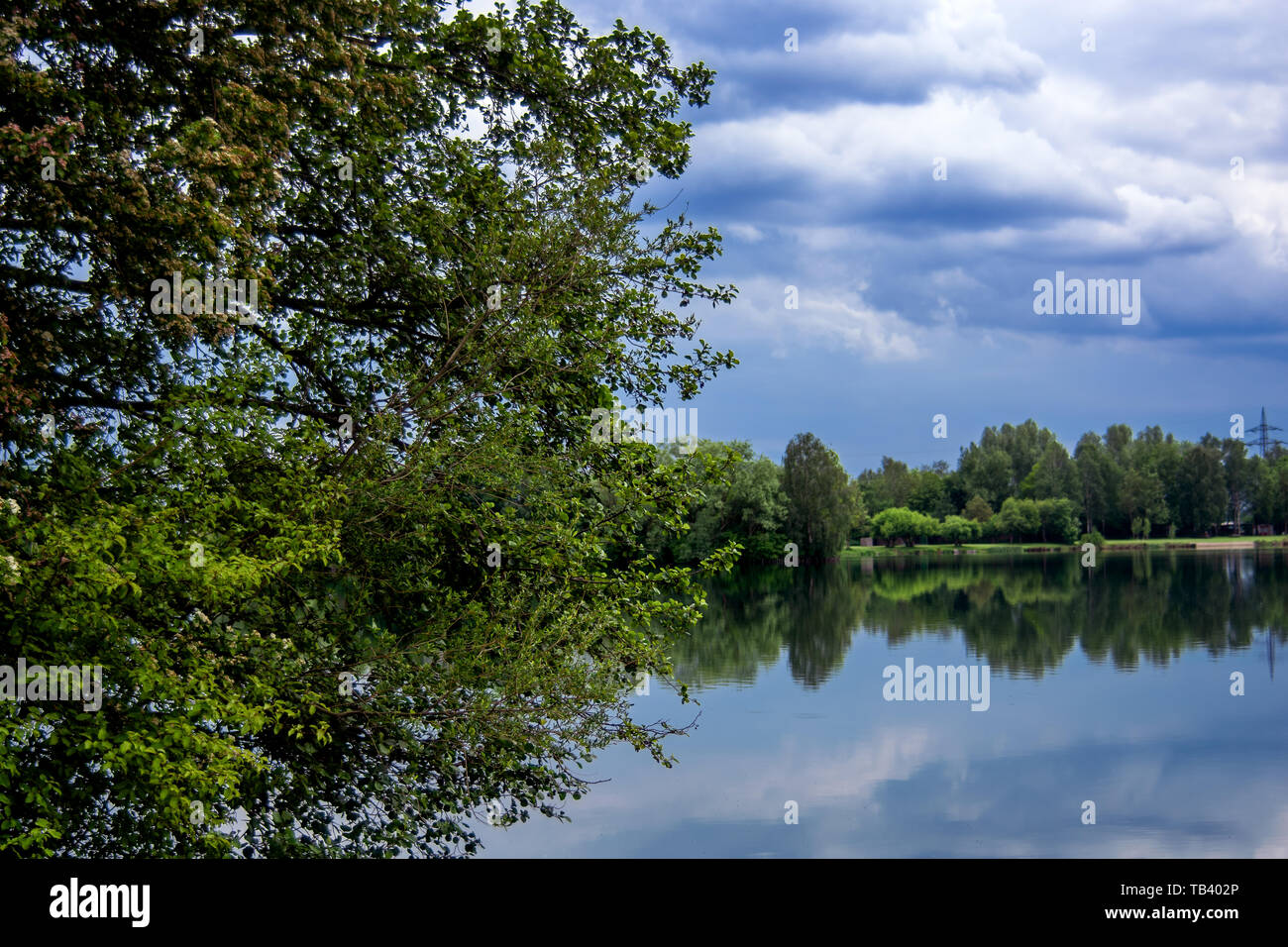 Concept nature : The lake Stock Photo