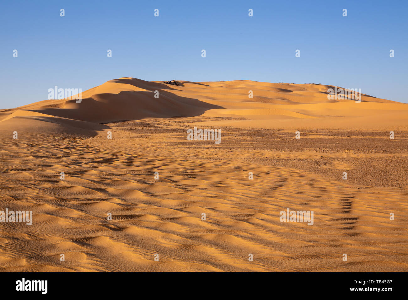 beautiful contours of a ridge of sand dunes caught in the evening sunshine contrast the light yellow desert sand and the long dark shadows in Sudan Stock Photo
