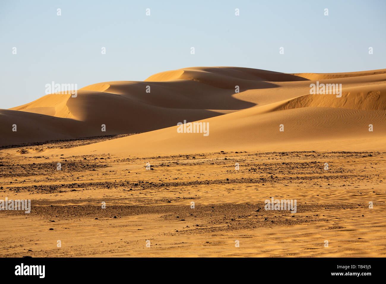 beautiful contours of a ridge of sand dunes caught in the evening sunshine contrast the light yellow desert sand and the long dark shadows in Sudan Stock Photo