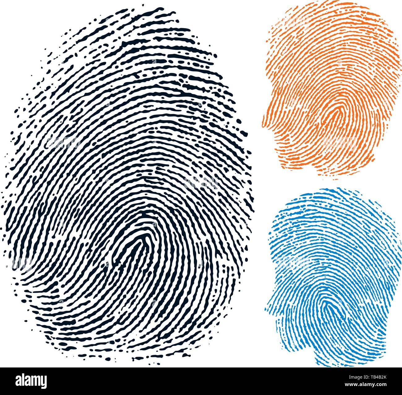 Vector illustration. Fingerprint. Personal identity face in three versions Stock Vector