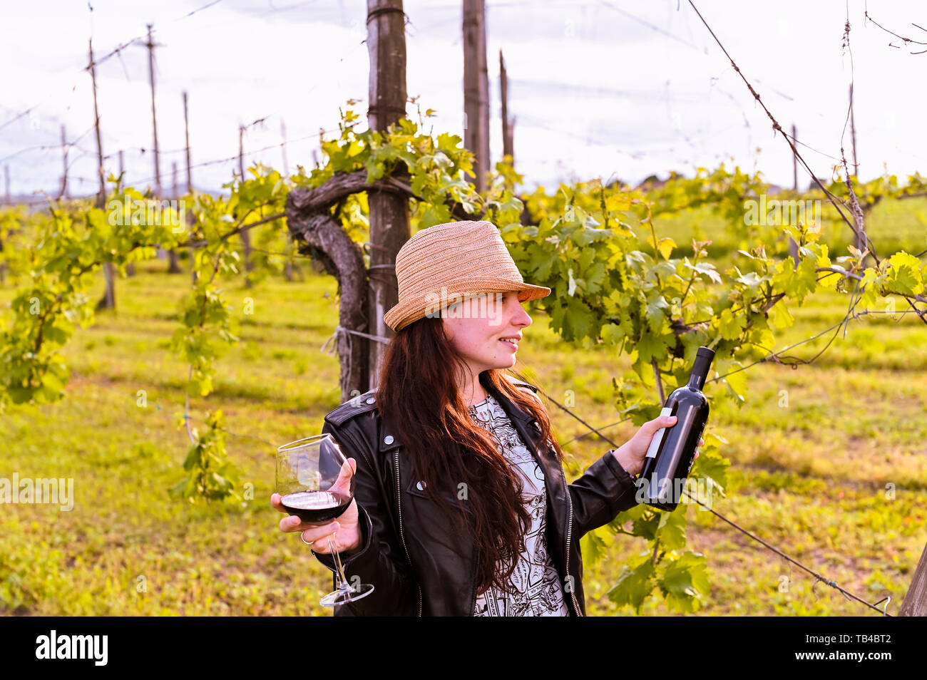 Girl with a glass of red wine in the green vineyards at sunset ...