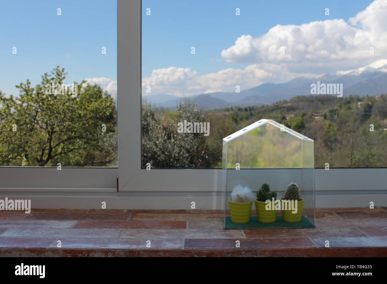 foreground cactus over a spring mountains landscape and snow still on mountains in the background, warm pool room image Stock Photo