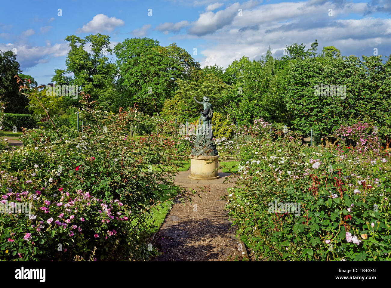 UK,South Yorkshire,Sheffield,Botanical Gardens,Rose Garden & Pan Spirit of The Woods Statue Stock Photo