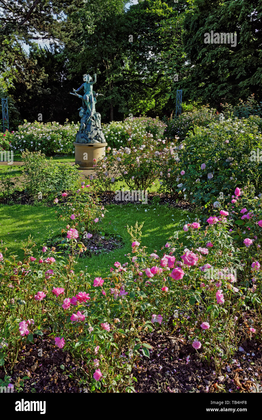 UK,South Yorkshire,Sheffield,Botanical Gardens,Rose Garden & Pan Spirit
