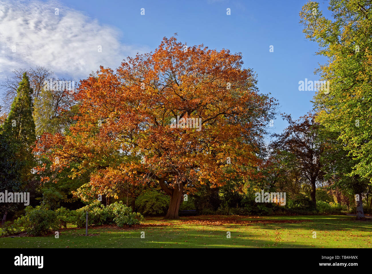 Great lawns hi-res stock photography and images - Alamy