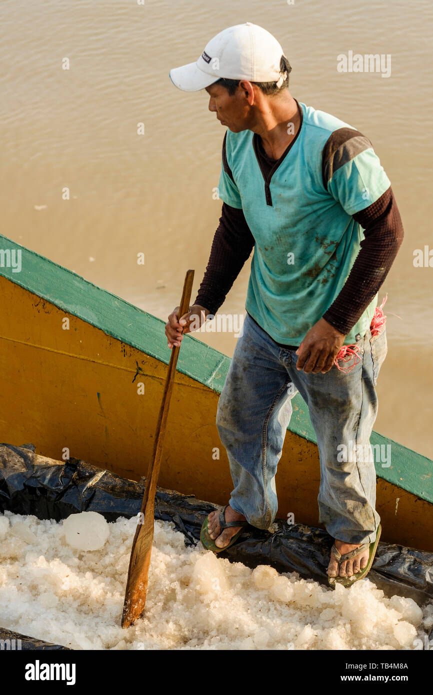 Local fisherman fixing the ice for his fish cargo at ferry Iquitos-Pucallpa  on the Ucayali River, Peruvian Amazon Basin, Loreto Department, Peru Stock  Photo - Alamy