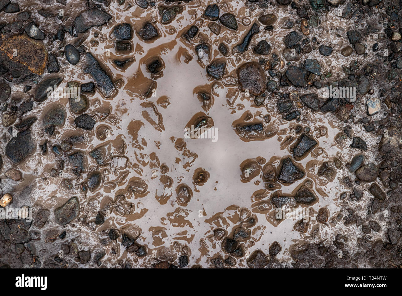 Dirty mud puddle with small gravel rocks in daylight Stock Photo - Alamy
