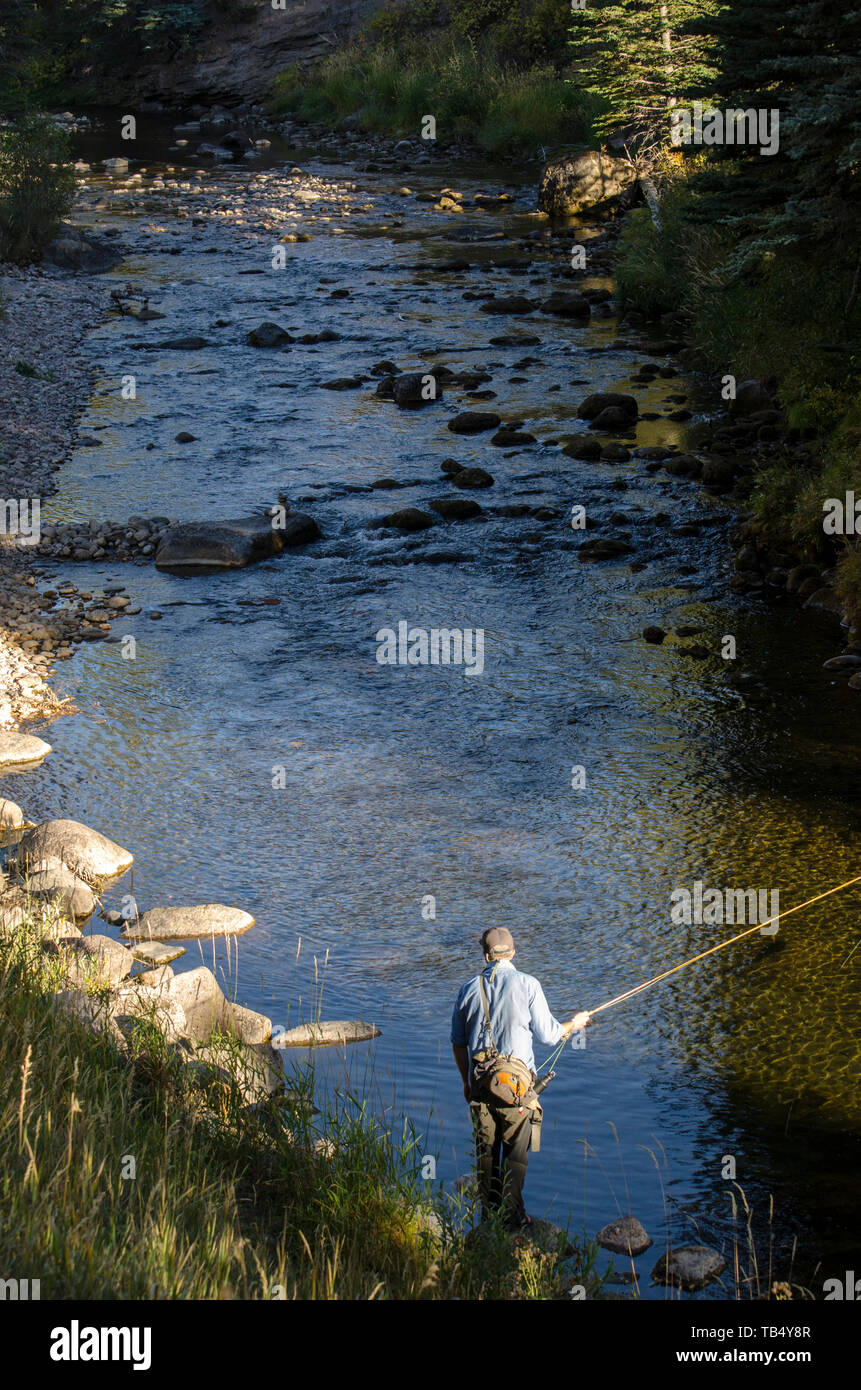 Angler Fly Fishing on the Gore Creek in Vail, Colorado Stock Photo Alamy