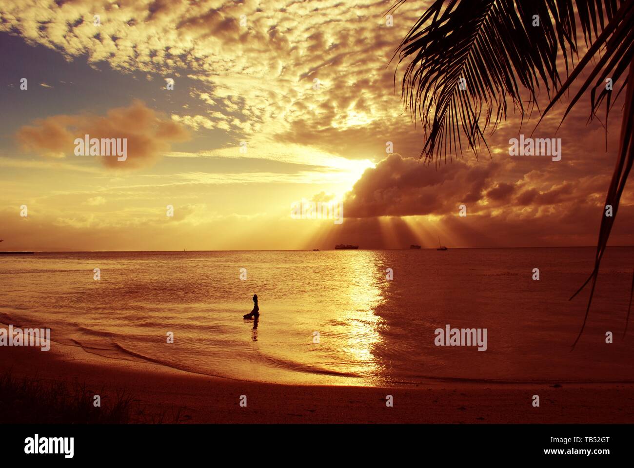 Beautiful amazing golden sunset tropical hi-res stock photography and ...