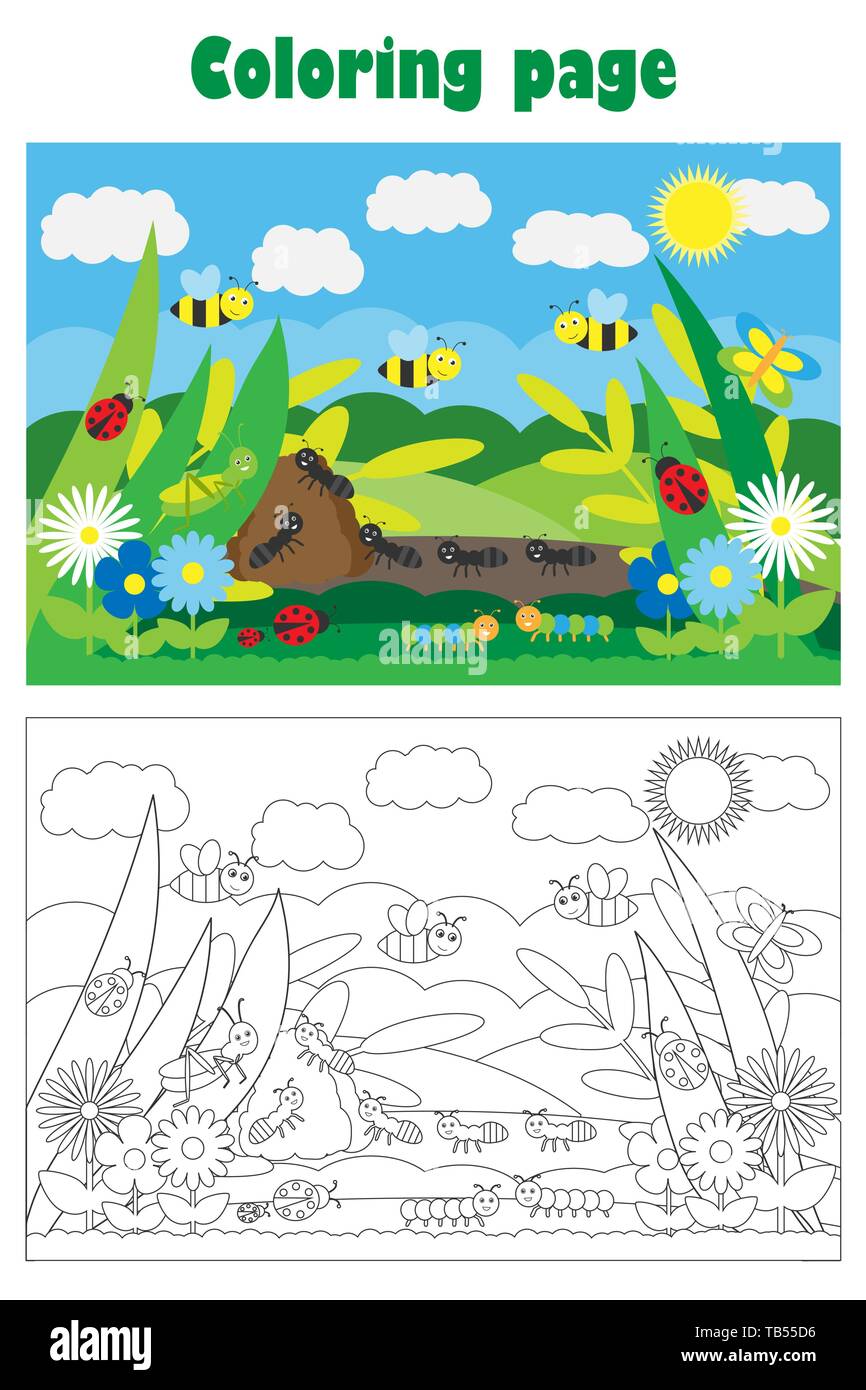 Glade With Insect And Flowers In Cartoon Style Summer Coloring Page Education Paper Game For The Development Of Children Kids Preschool Activity Stock Vector Image Art Alamy