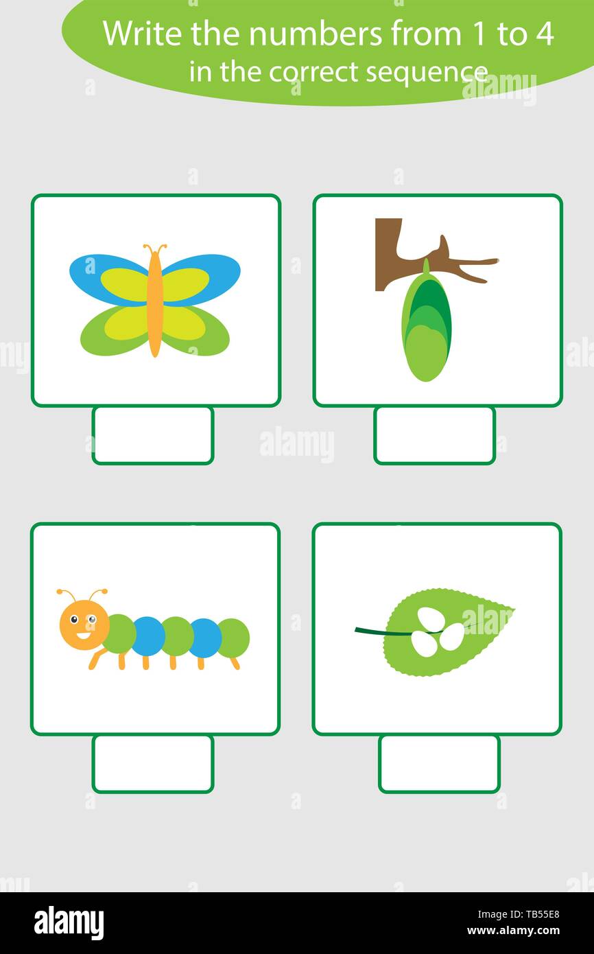 Visual game with life cycle of butterfly pictures for kids, educational task for the development of logical thinking, preschool worksheet activity Stock Vector
