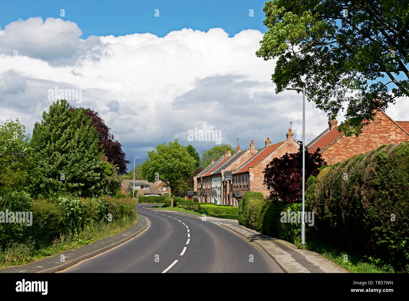 Houses in Knedlington Road, Howden, East Yorkshire, England UK Stock
