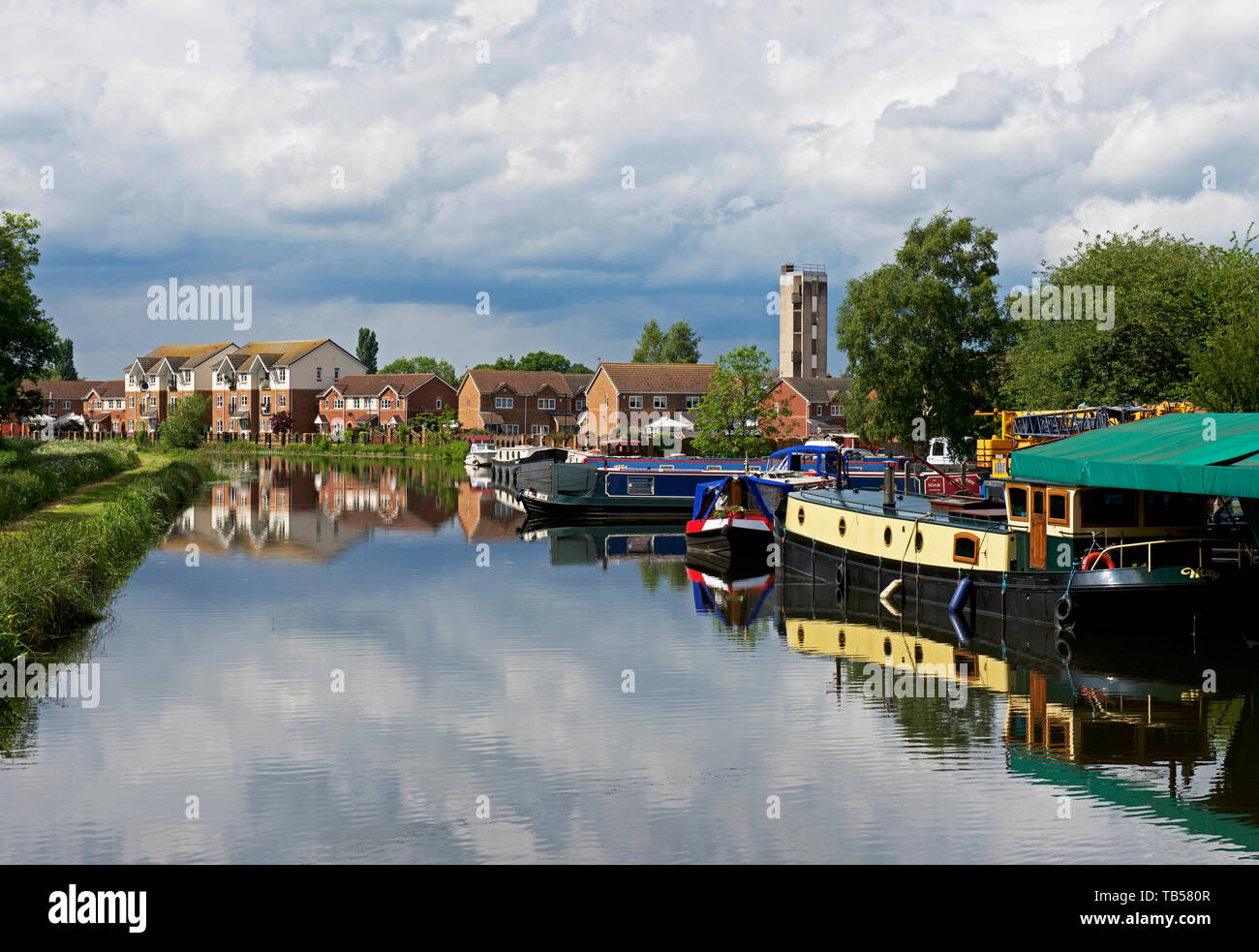 Thorne hi-res stock photography and images - Alamy