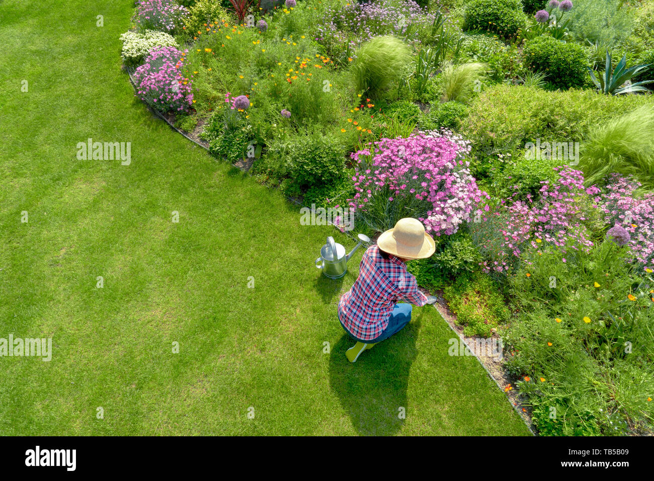 Young female planting flower in garden,aerial view Stock Photo