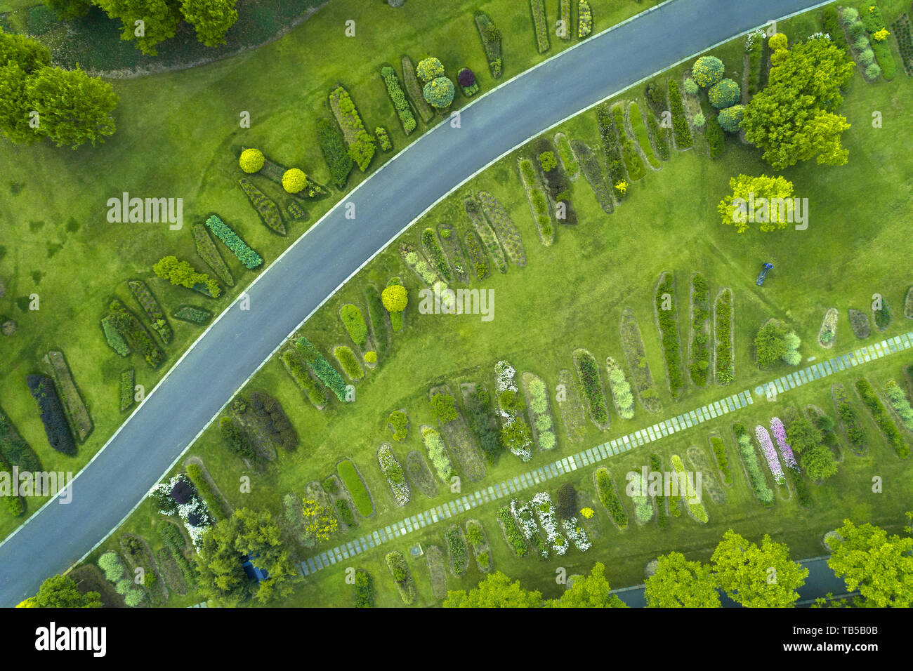 Aerial view of  park with a green lawn and paths Stock Photo