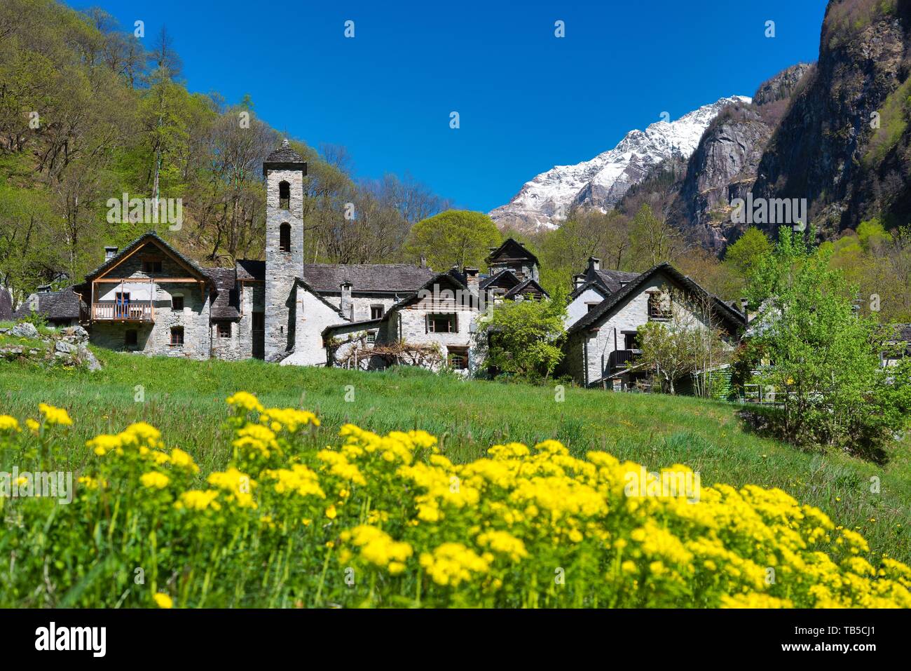 Mountain village Foroglio with old stone houses, Val Bavona, Canton Ticino, Switzerland Stock Photo