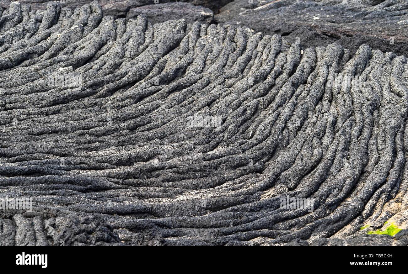 Pahoehoe-Lava structures, Isabela Island, Galapagos Islands, Ecuador Stock Photo