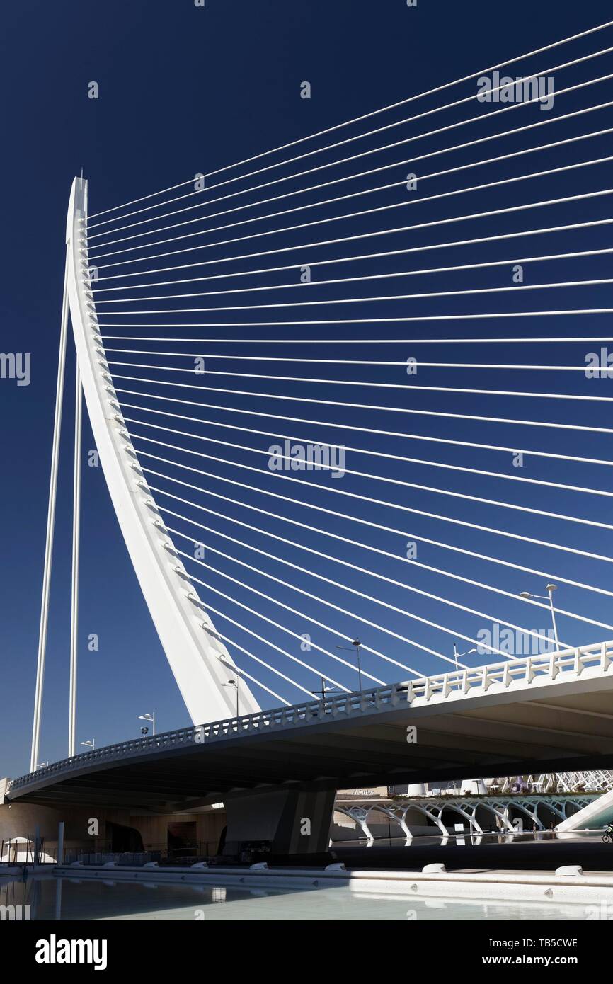 Harp shaped cable stayed bridge hires stock photography and images Alamy