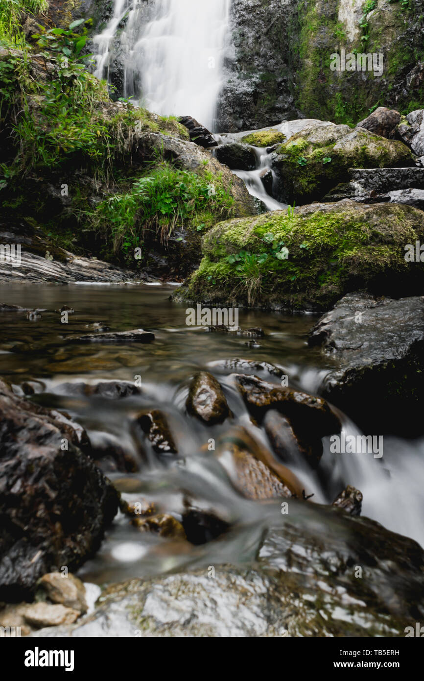 Mountain waterfall in summer forest. River with wet stones and plants on shore. Stock Photo