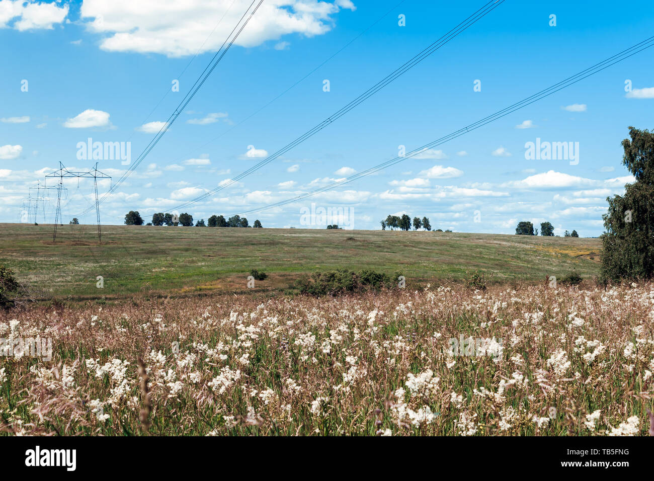 Power lines in countryside, on field outside the city Stock Photo - Alamy
