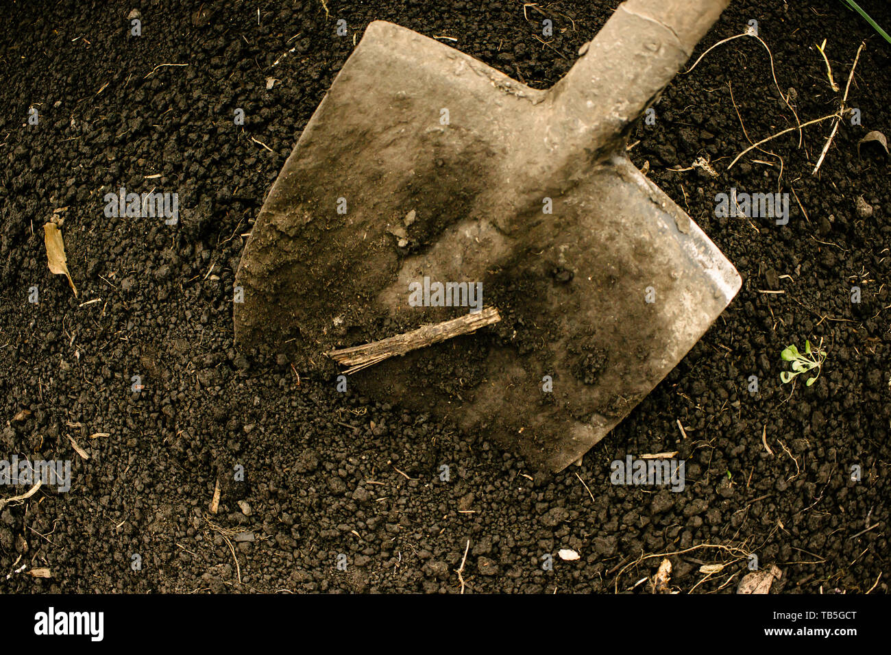 Planting spade hi-res stock photography and images - Alamy