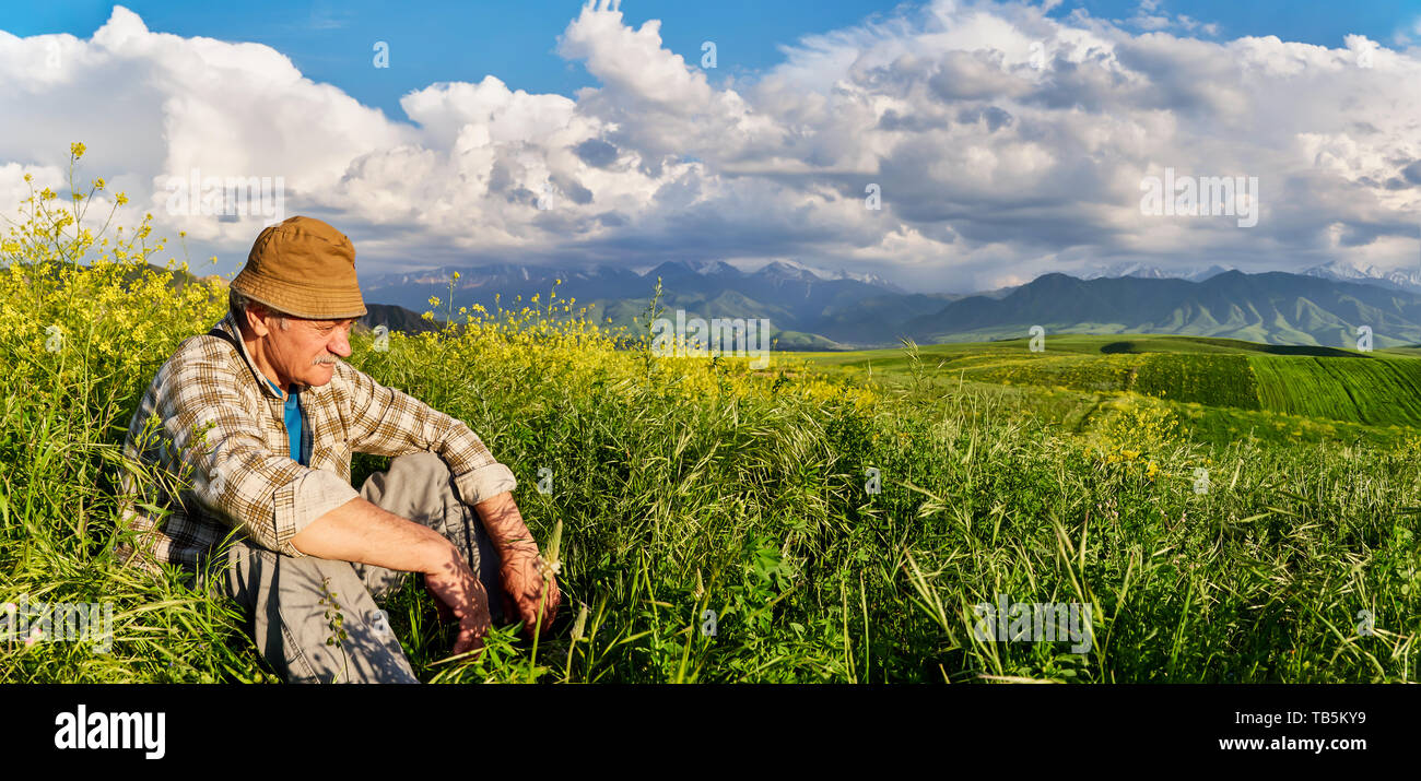 Panorama of a mountain valley in summer. Adult man looks into the distance. Amazing nature, mountains, lit by the sun in clear weather, summer in the  Stock Photo