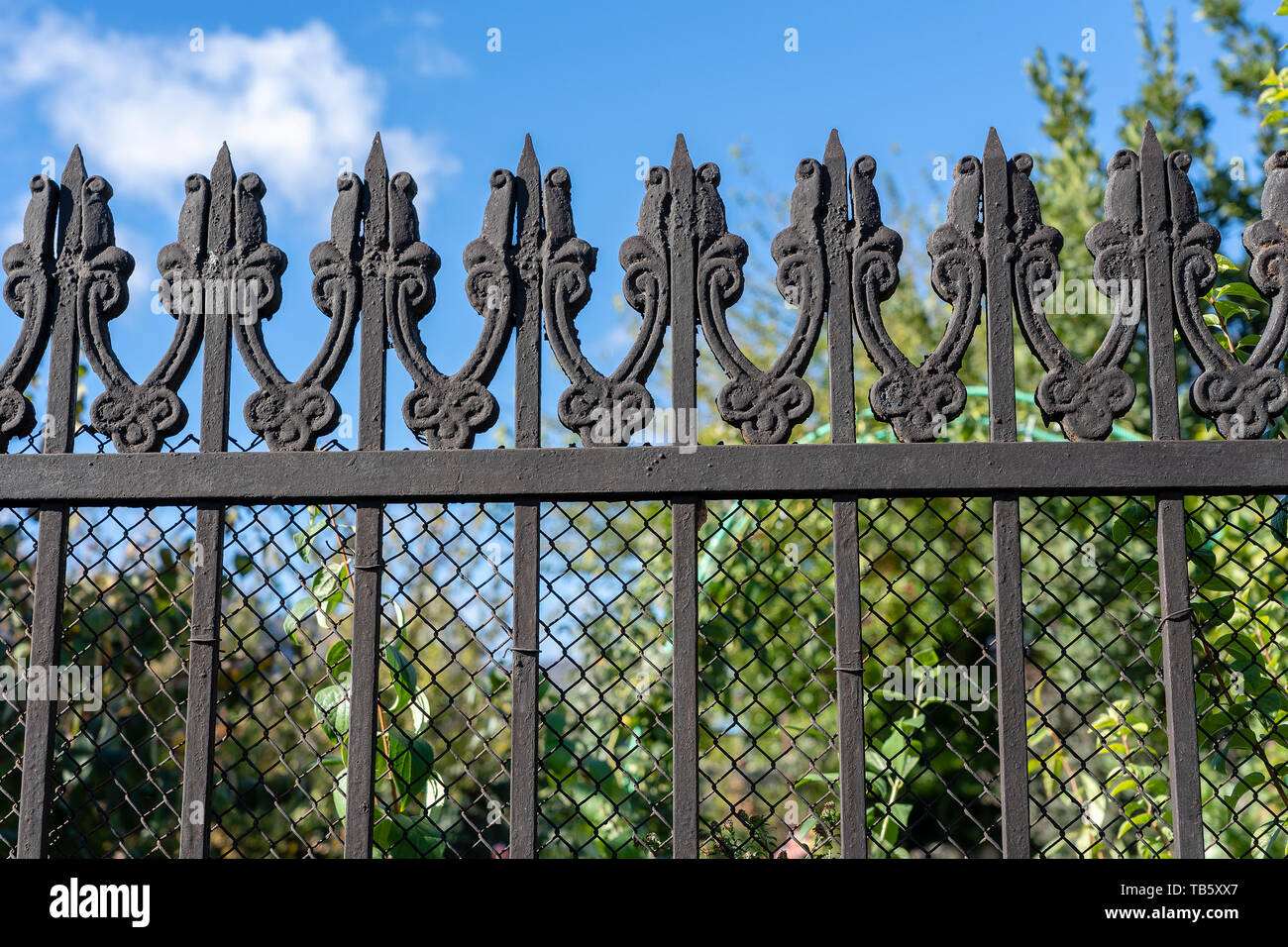 Black metal fence, close up. Beautiful decorative cast iron wrought