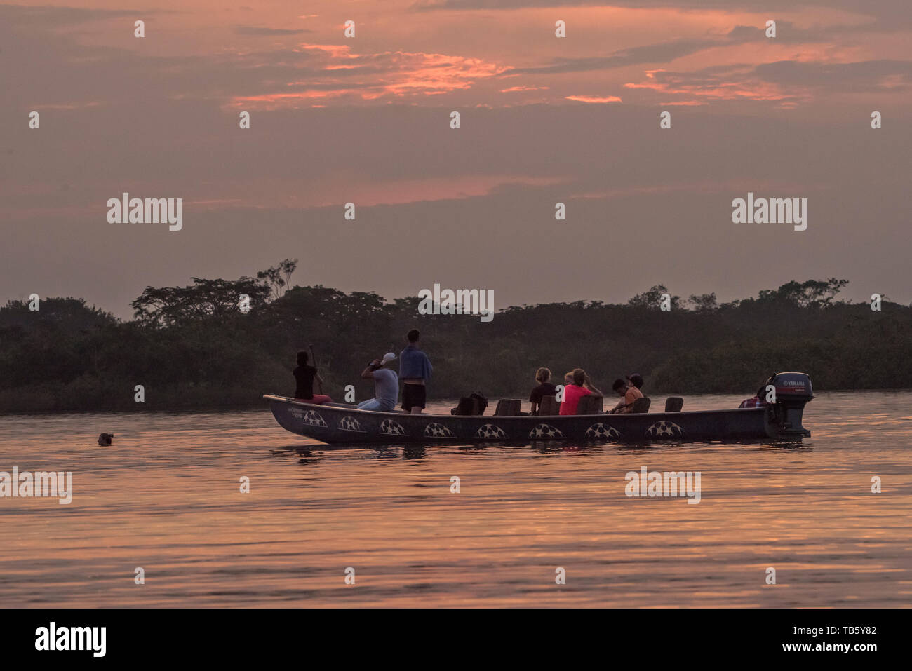 The sun sets over Cuyabeno Wildlife Reserve in the Ecuadorian Amazon, and tourists in a boat observe and swim. Stock Photo