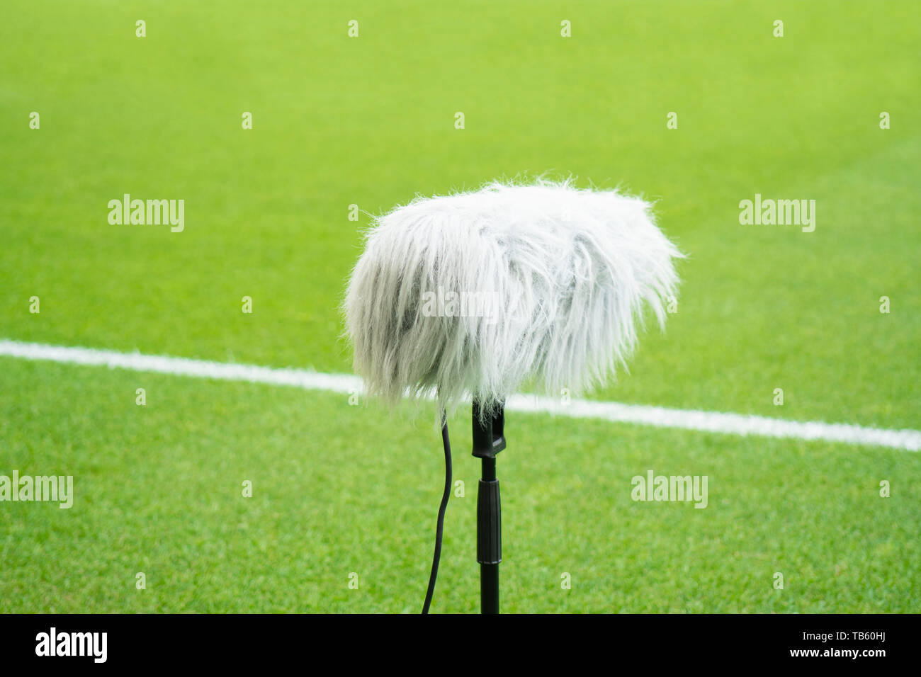 Floor type microphone popular in a position that is close to the scope of the sport, making the athlete's voice closer. Stock Photo