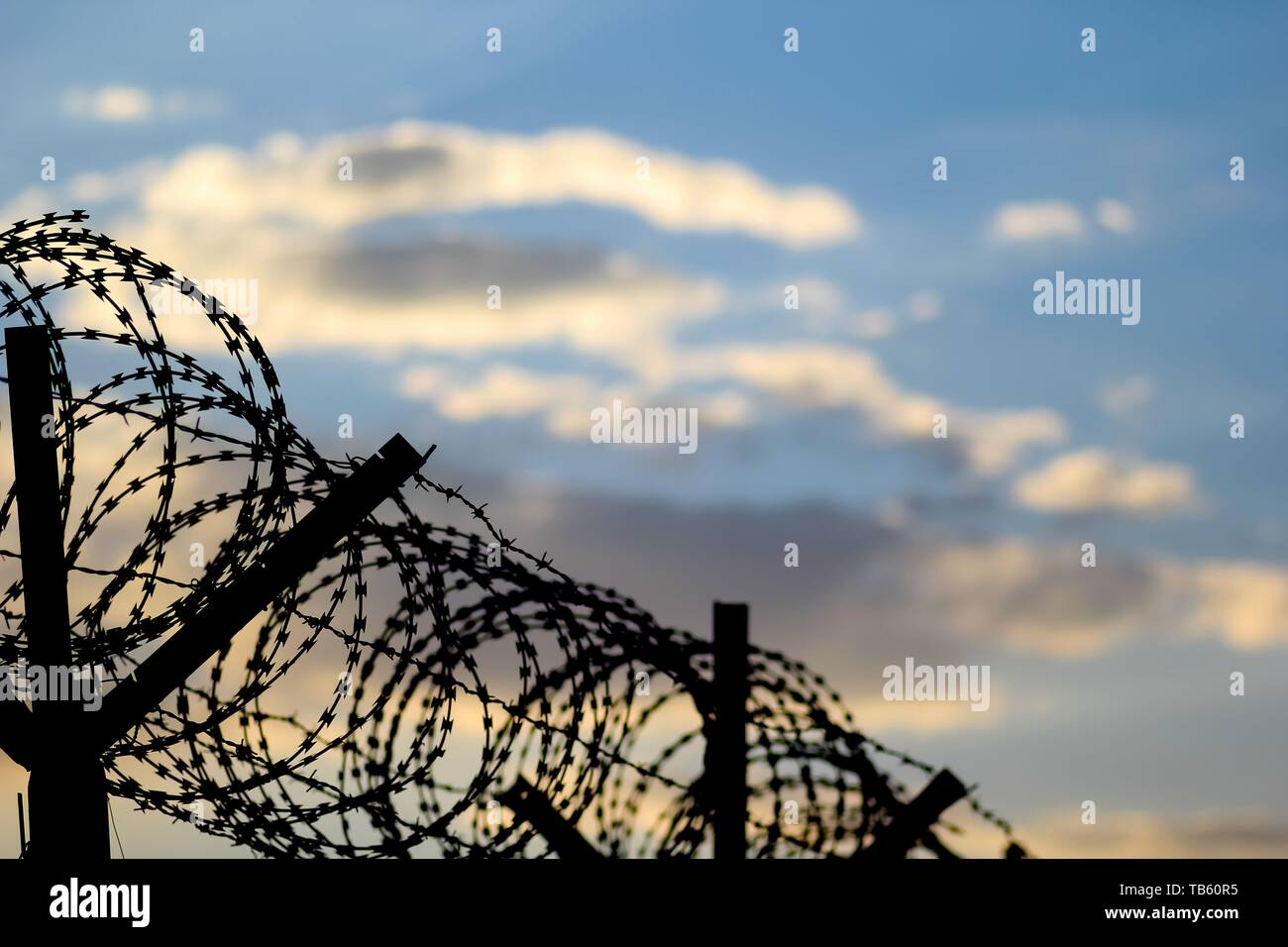 Barbed wire fence on the european border during sunset. Sunset behind the barbed wire. Stock Photo