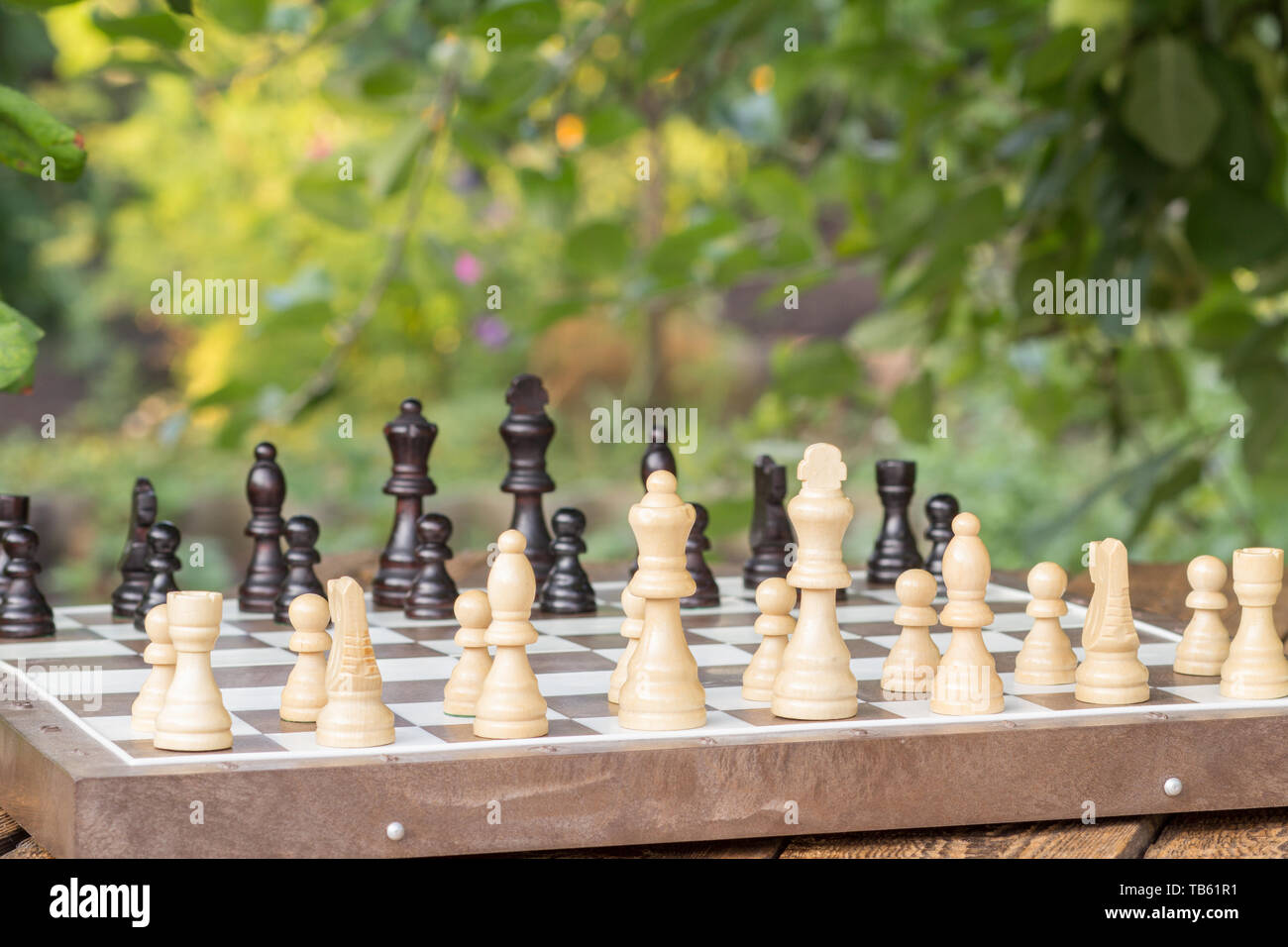 Chess board with chess pieces on desk with branches of apple tree on the  background. Selective focus on white pieces. Outdoor activities Stock Photo  - Alamy