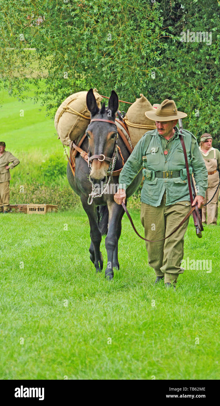 Pack Horse in War, Reconstuction Stock Photo Alamy