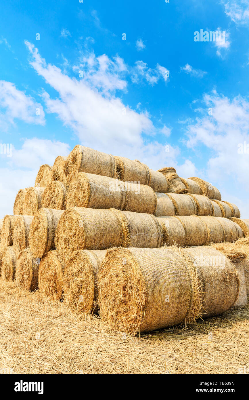 Straw bales on farmland with blue cloudy sky Stock Photo - Alamy