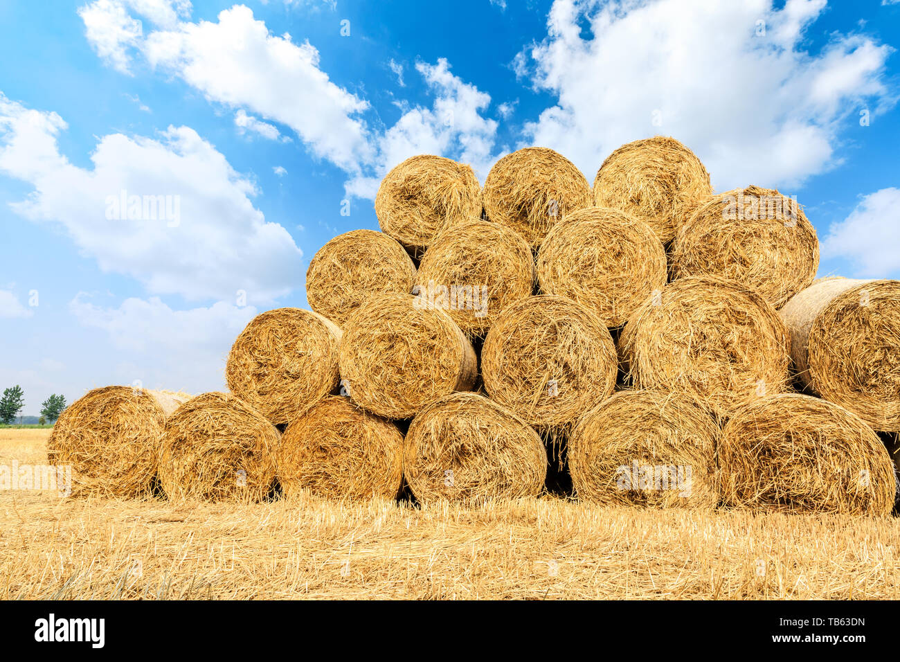 Straw bales on farmland with blue cloudy sky Stock Photo - Alamy