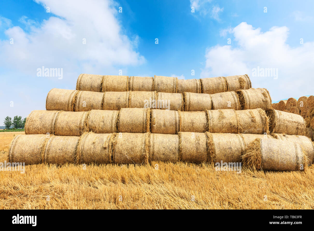 Straw bales on farmland with blue cloudy sky Stock Photo - Alamy