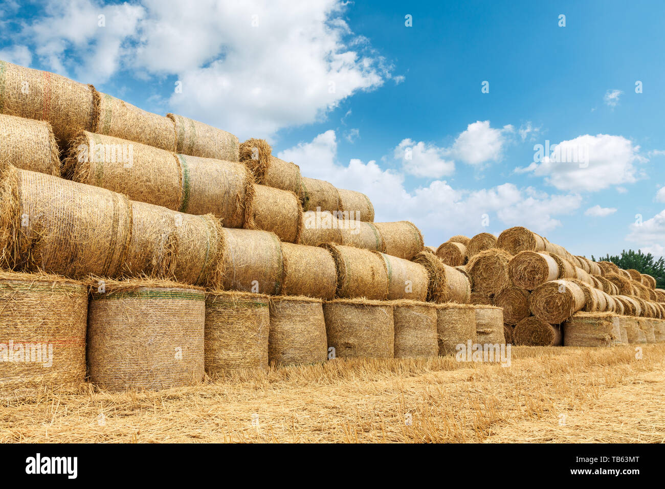 Straw bales on farmland with blue cloudy sky Stock Photo - Alamy