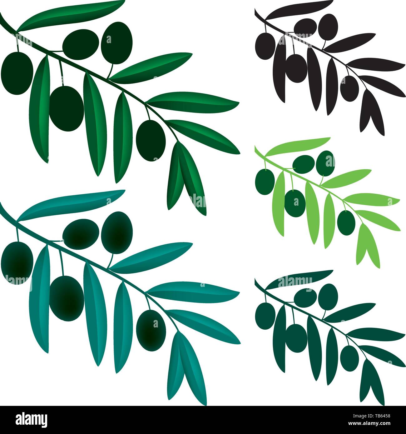 Olive Tree Stock Vector Images - Alamy