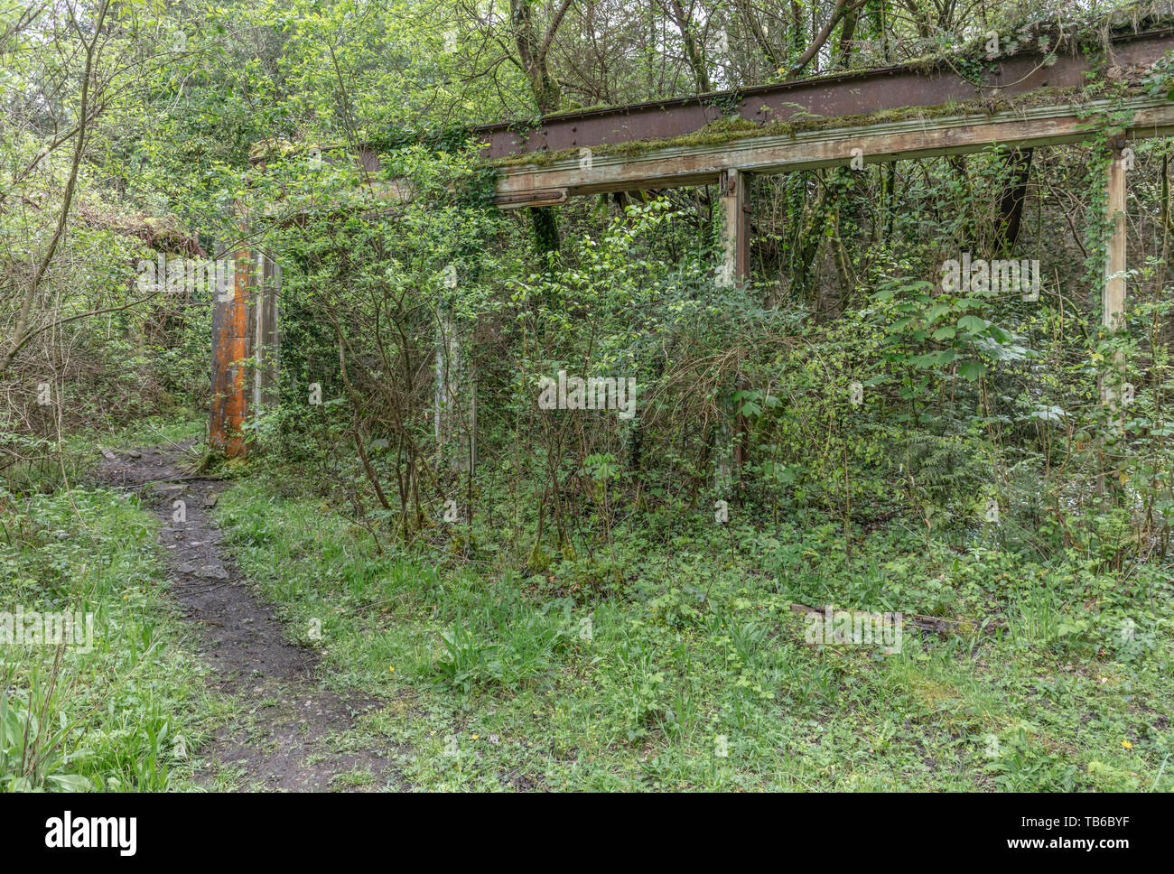 Lost World, Baron Hill House, Beaumaris, Ynys Mon, Anglesey UK