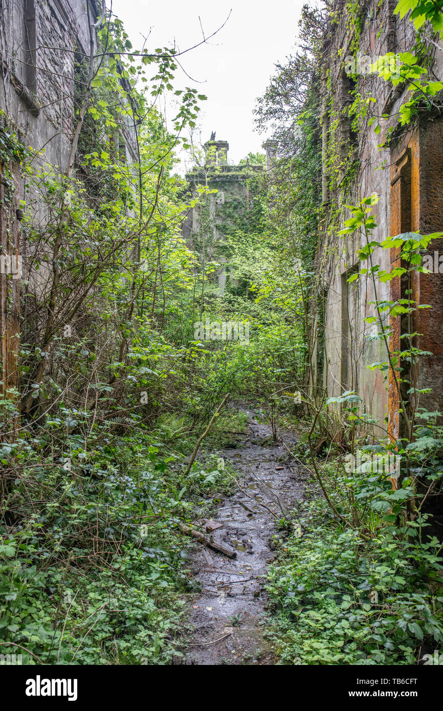 Lost World, Baron Hill House, Beaumaris, Ynys Mon, Anglesey UK