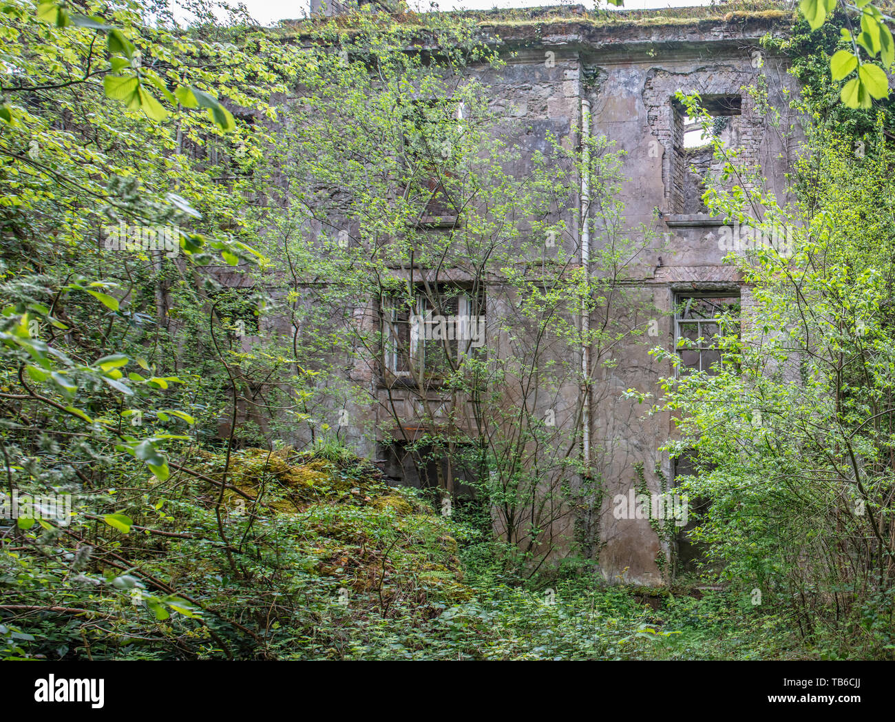 Lost World, Baron Hill House, Beaumaris, Ynys Mon, Anglesey UK
