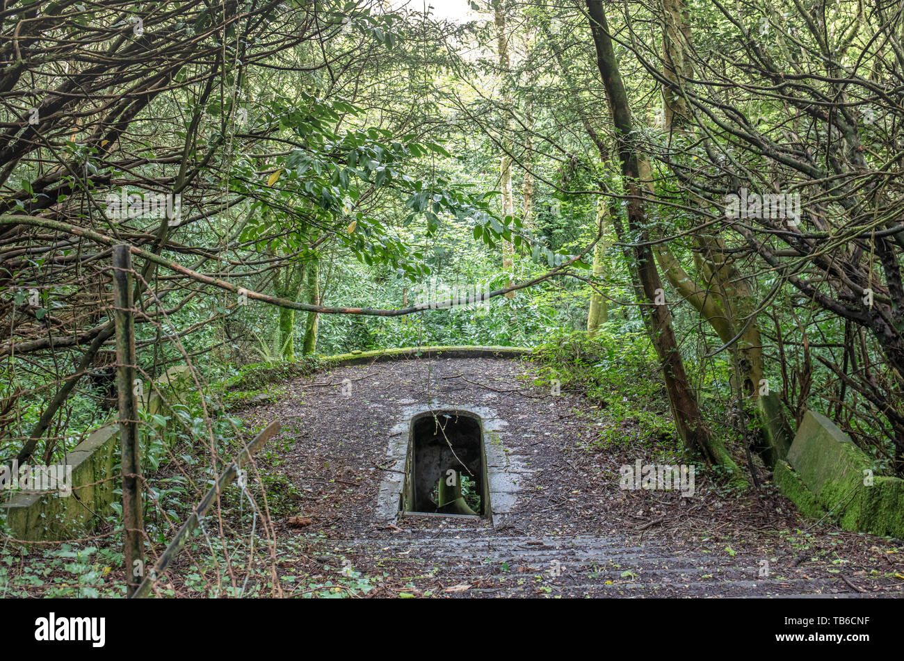 Lost World, Baron Hill House, Beaumaris, Ynys Mon, Anglesey UK