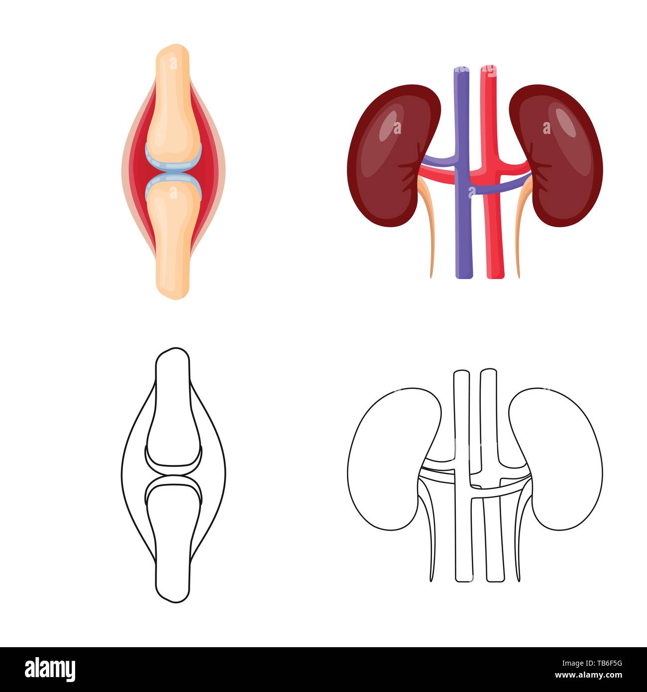 Vector illustration of biology and scientific symbol. Set of biology ...