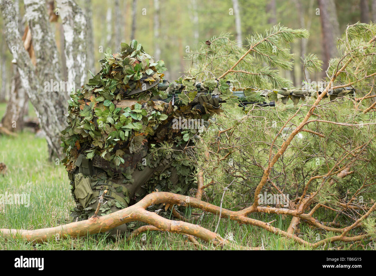 Camouflaged sniper in the forest in ambush. Military man aiming a gun, a rifle at the enemy in nature. Army, airsoft, hobby, game concept Stock Photo