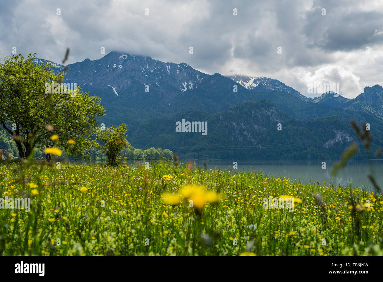 mountain Landscape photography over grassland Stock Photo