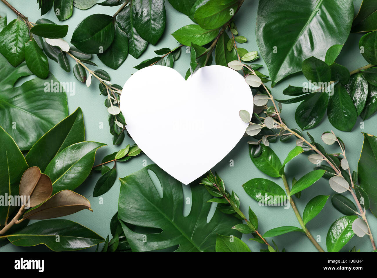 heart nature wallpaper