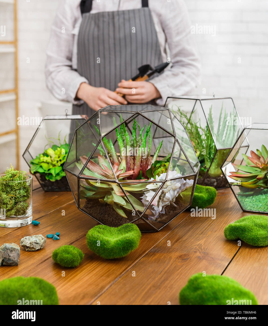 Mini Gardens In Glass Florariums And Moss Stones On Wooden Table